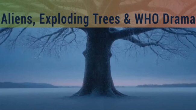 Dark silhouette of a large, leafless tree in a cold, winter landscape under night sky, with a powerful message about aliens, exploding trees, and WHO drama.