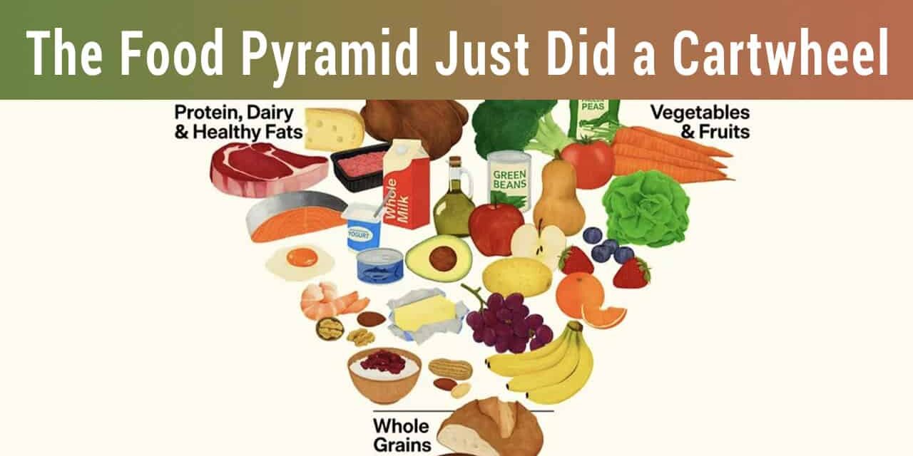 Cartwheel Fresh vegetables, fruits, protein sources, dairy products, whole grains, and healthy fats in a colorful food pyramid highlighting balanced nutrition and healthy eating habits.