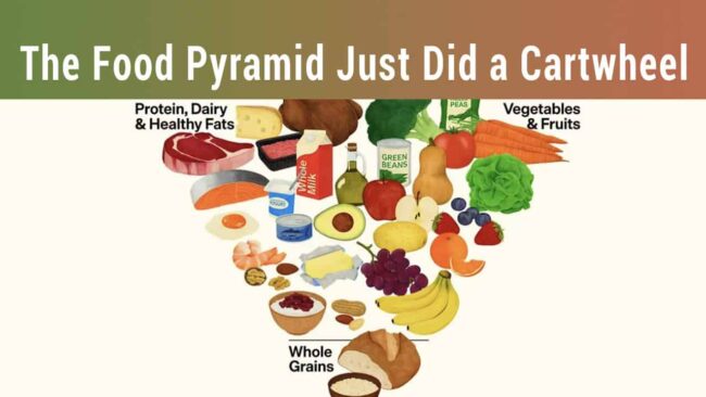Fresh vegetables, fruits, protein sources, dairy products, whole grains, and healthy fats in a colorful food pyramid highlighting balanced nutrition and healthy eating habits.